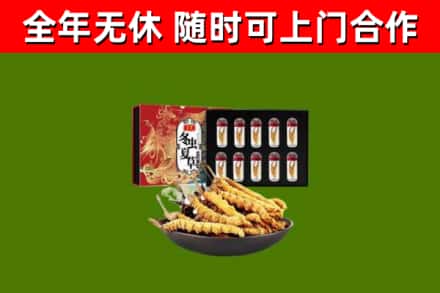 新邵县回收冬虫夏草价格