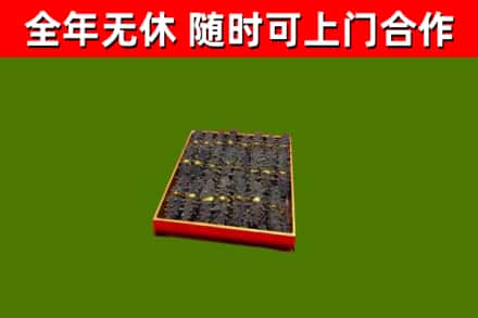 新邵县回收海参